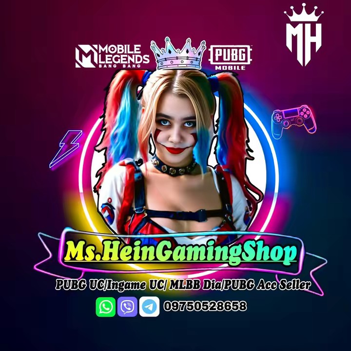 Ms.Hein Gaming Shop