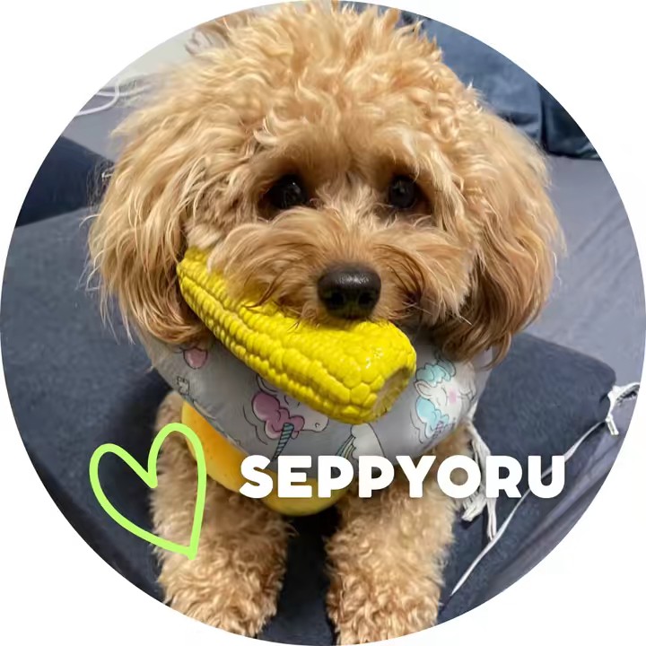SEPPYORU