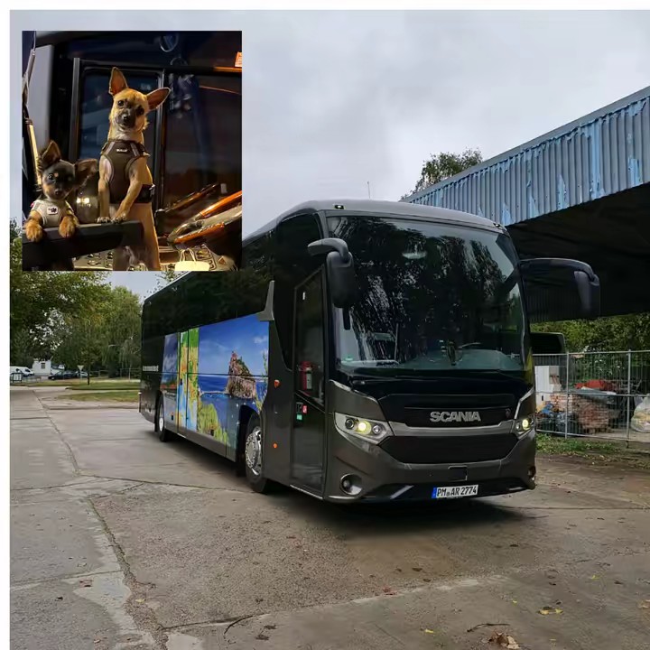 Rocky🥰Busbetrieb_Andrea_R. 🚍