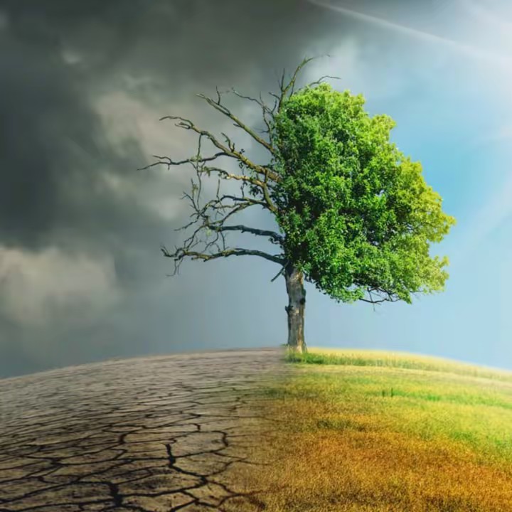 A Crecer Juntos 🙌