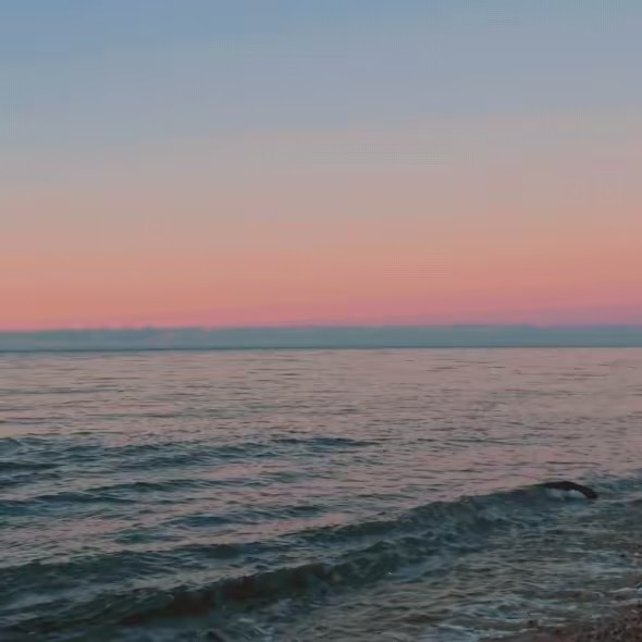 มาใหม่แต่มาแรงนะ