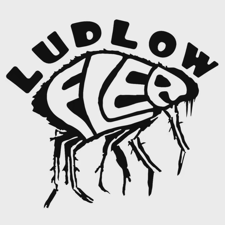 Ludlow Flea
