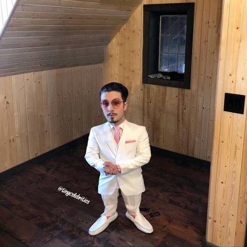 𝒯𝒽𝑒 ℬ𝒾𝑔 𝒷𝒷𝓃𝑜$