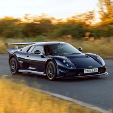 Rustic 🐆 Lee 🐆