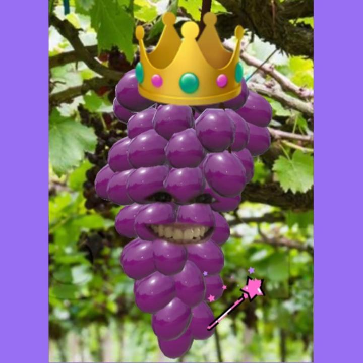 Laura🙋🏻‍♀️The Grape🍇Queen