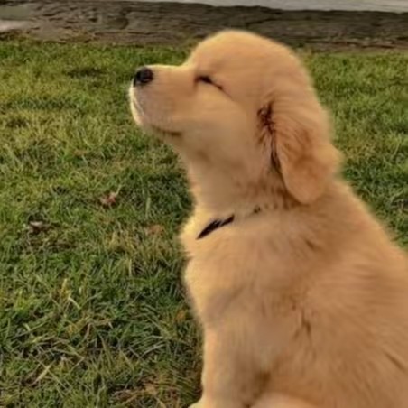 edits. _uzi x n😌👍