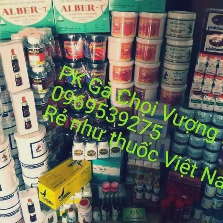 Pk gà chọi vượng râu 02