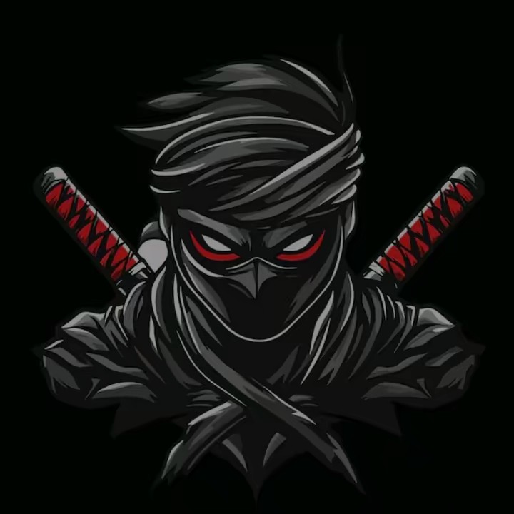 🥷 THIS IS NINJA 🥷