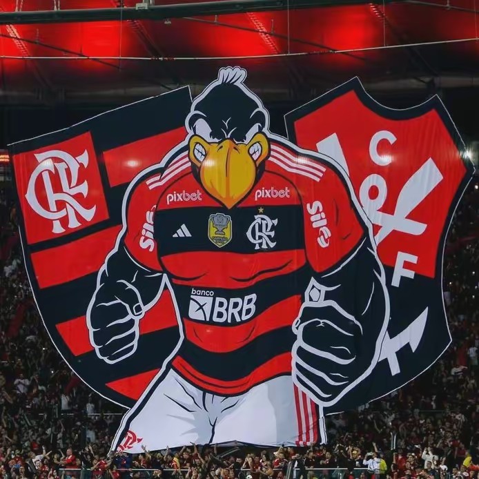 •⚡𝐂𝐃𝐑𝐅𝐋𝐀𝐌𝐄𝐍𝐆𝐎_2025