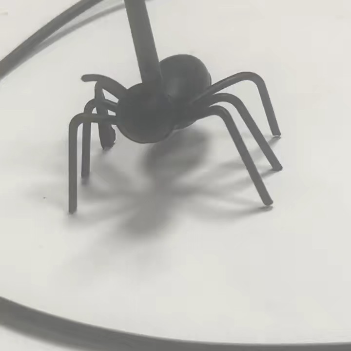 アウトドアアドベンチャーショップ