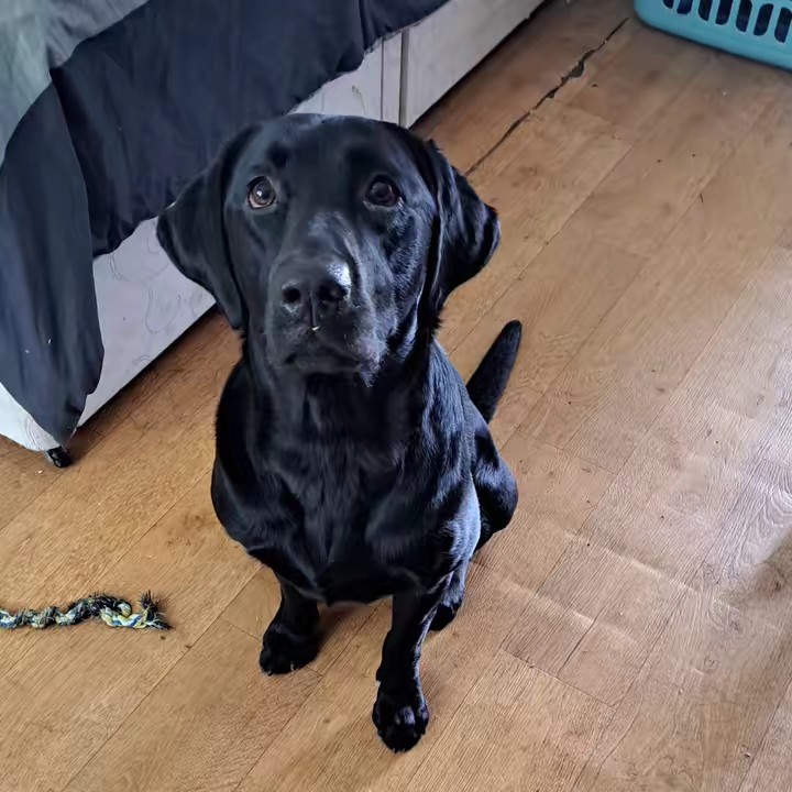 Michael&Laddy🇬🇧