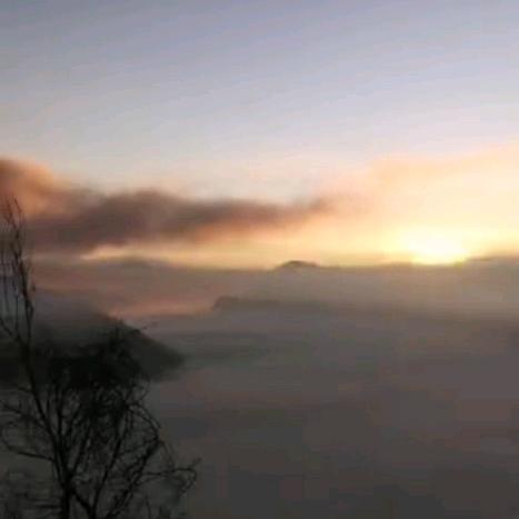 ✴️Bayo angin✴️