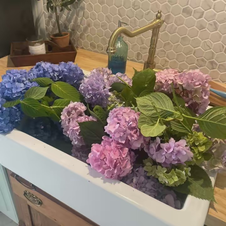 Hydrangea Bay Cottage