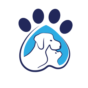 Feichi Pet Products