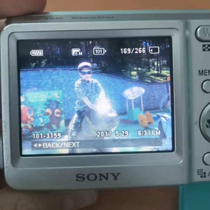 рома дерево