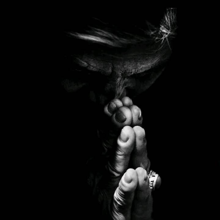 ⚡️🦦CMT: Elias 🖤☄️