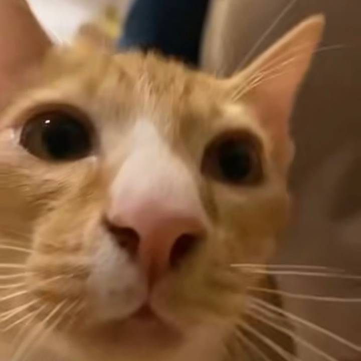 HAKIMI THE BEST 🇲🇦🇲🇦🥷