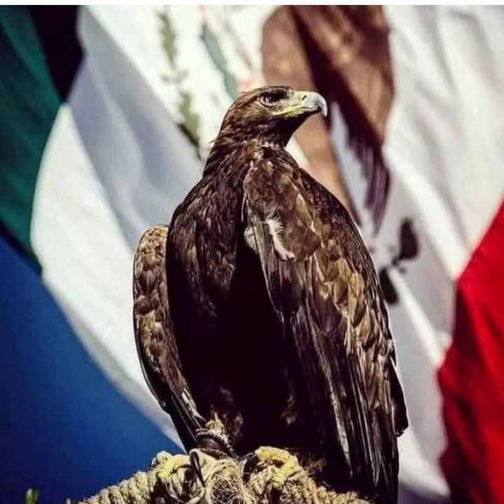 🖤🖤🪐Erik rodriguez🪐🖤🖤