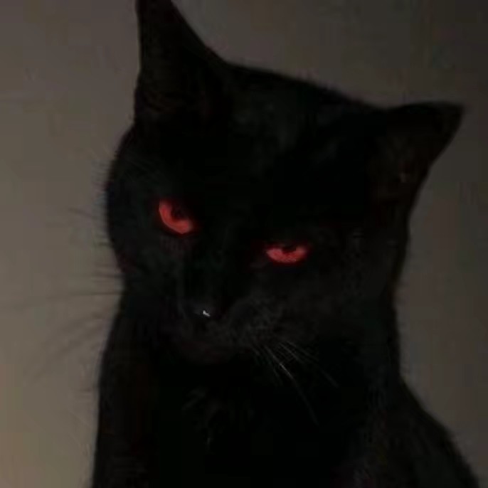 𝕻𝖊𝖉𝖗𝖔 𝖍.