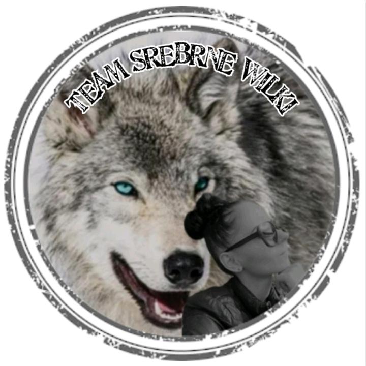 Diαbℓiᥴᥲ🐺Ɯιℓczყᥴᥲ