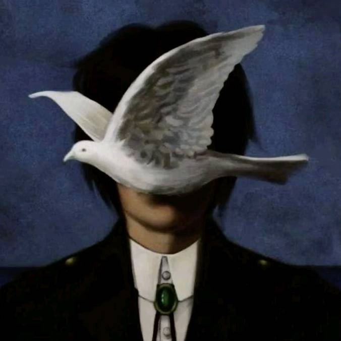 𝖓𝖎𝖈𝖔𝖑𝖑𝖆𝖘𓋹