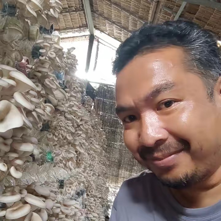 สาระแนเห็ด