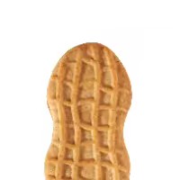 nutter butter