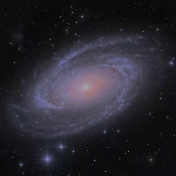 냥  𝐧𝐲𝐚𝐧