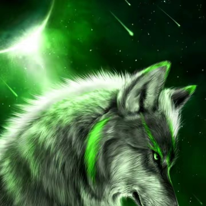 313 ÊLTURKMƏÑÎ & ألتركماني