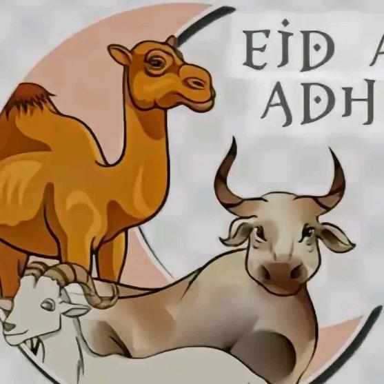 DIKZ🖱️⌨️📱