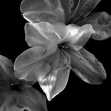 °•♱𝖕𝖗𝖊𝖙𝖙𝖟♱•°