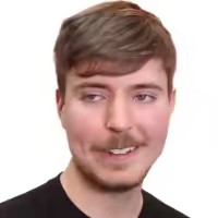 Mrbeast Highlightz