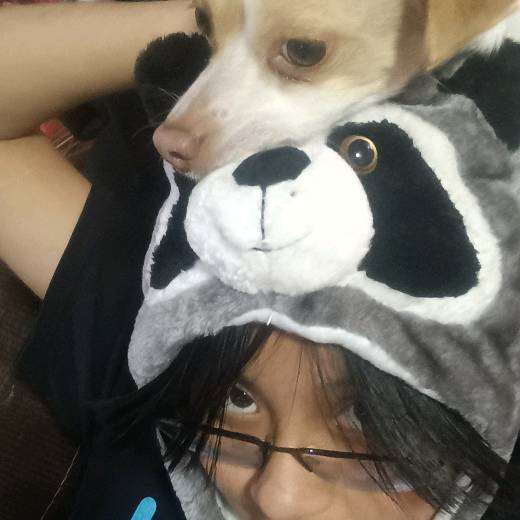 Mikhail Hamish Scott 🔎🎻