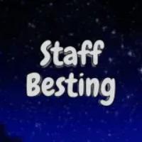 staffbesting.store