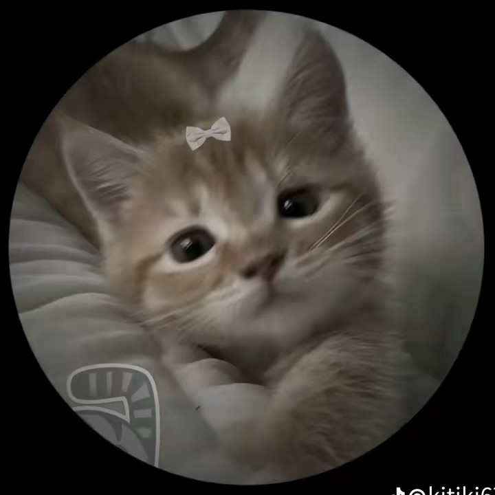 ❤️✨🏍️✨❤️