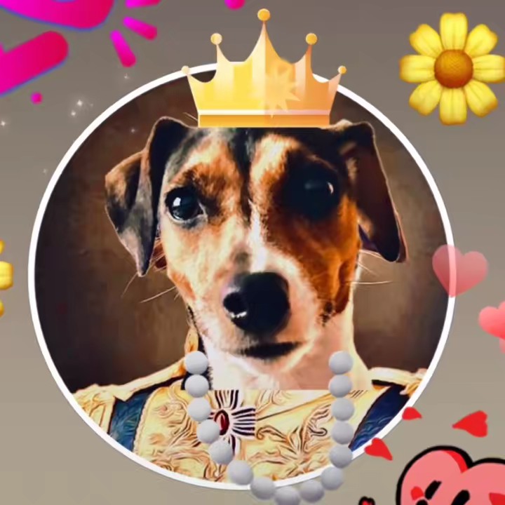 Lilli-Fee "Queen of Terror" 💕