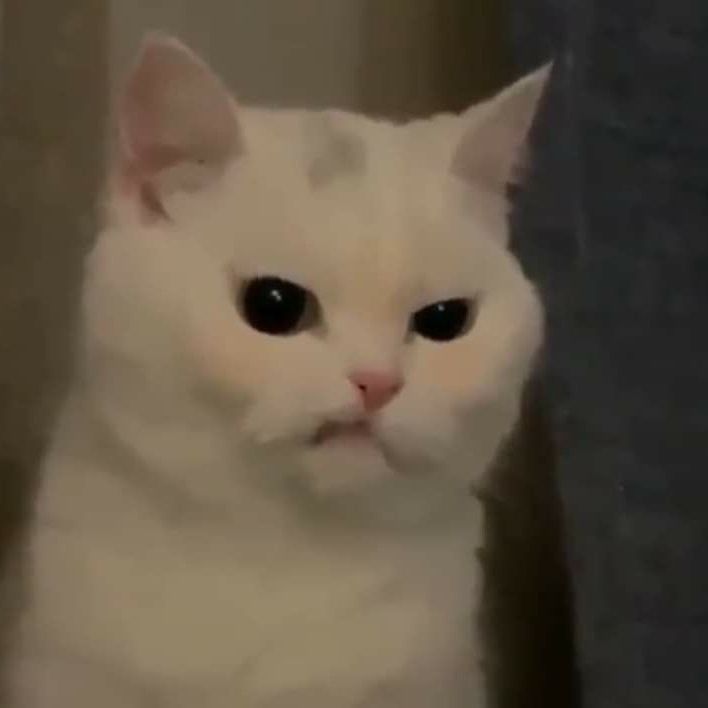 포카칩 라임모히또맛