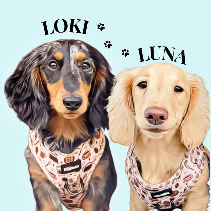 Daxie duo in the lakes