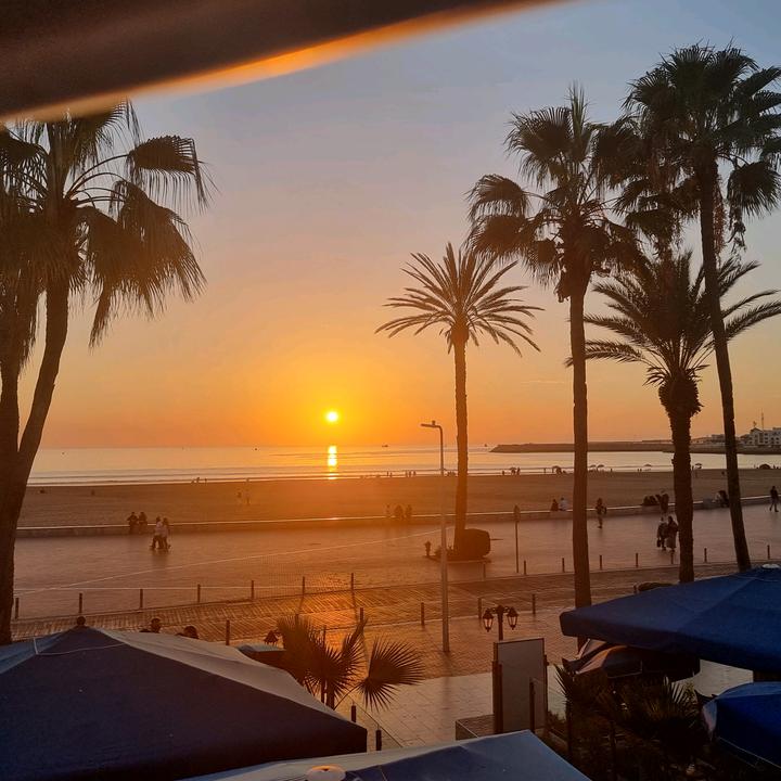 Sami 🇩🇿🇬🇧❤️‍🩹 🇵🇸