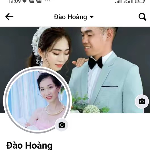 Mẹ mèo review