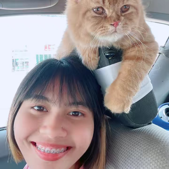 โกวิท ช็อป