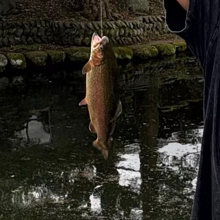 🫧 ͛.*🫧 ͛.*ぽわぽわ🧸🎀