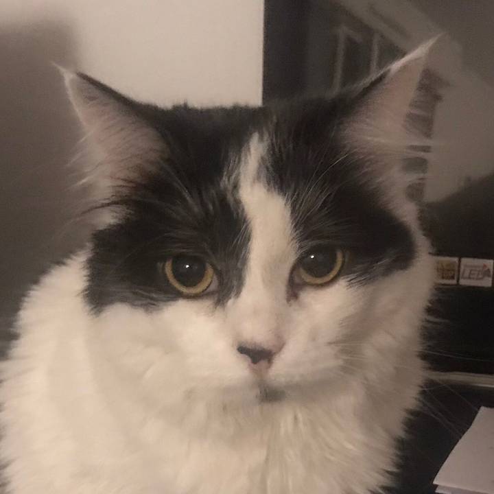 🌺 ❤️mamie gribouille❤️🌺