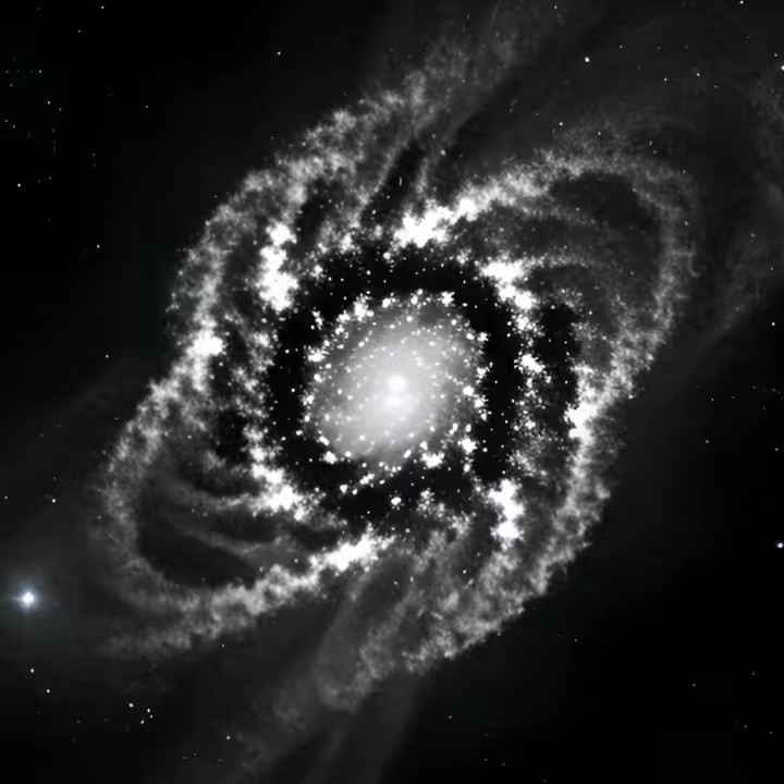 Observador Quântico