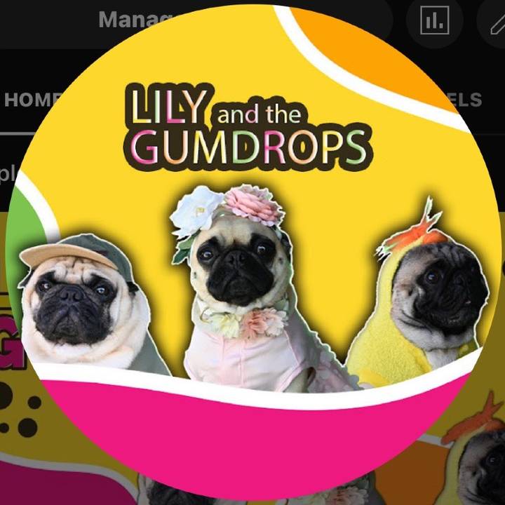 Lily and the Gumdrops