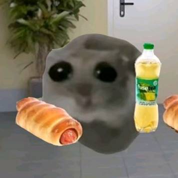 ٩(̾●̮̮̃̾●)۶