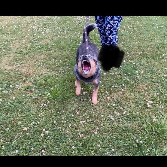 Don’t send me ur vids