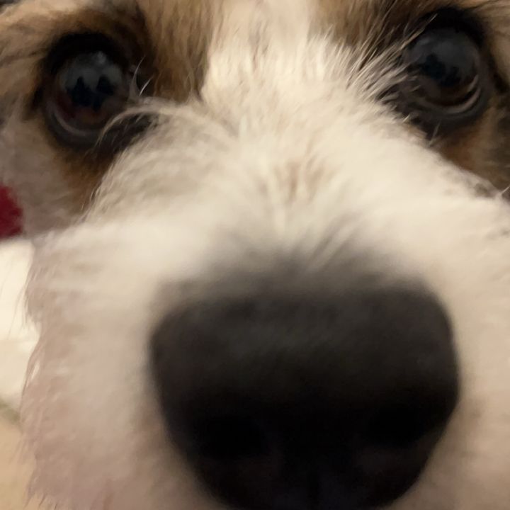 Vintage coach bags 💜