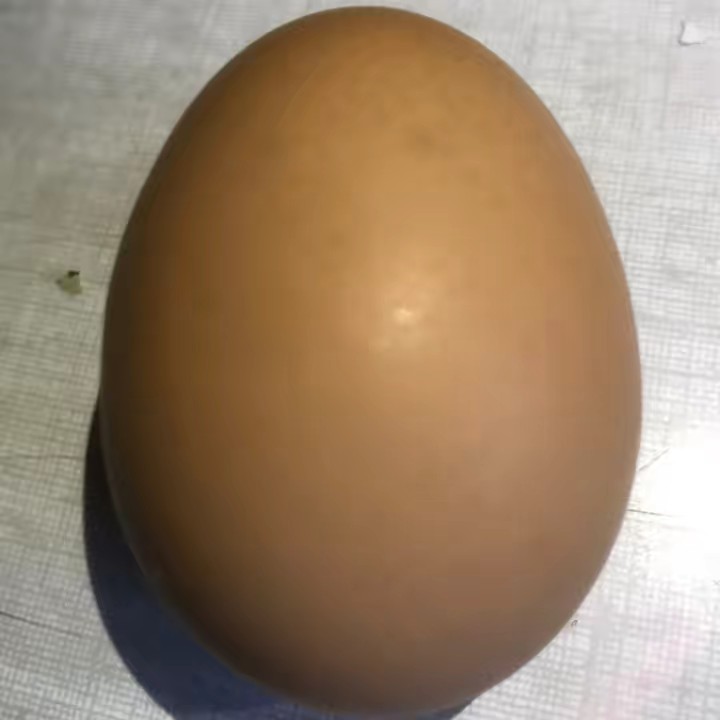 🐣 Скорлупа 🌐