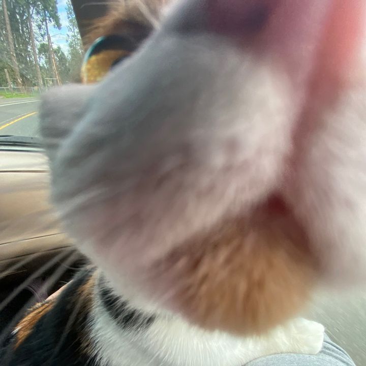 🤷‍♀️🤷‍♀️